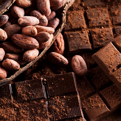 cocoa beans and cocoa powder on chocolate background